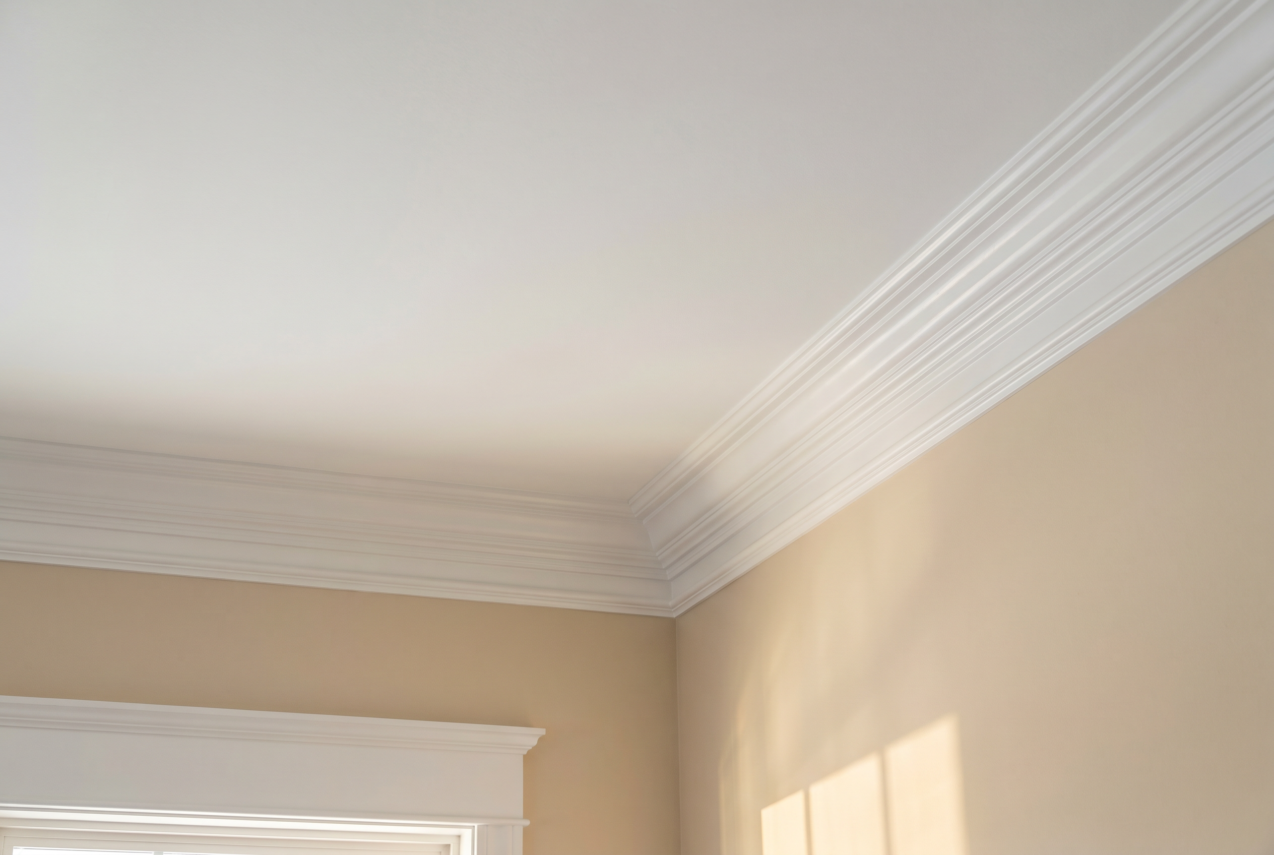 Ceiling & Trim Painting